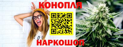 прущие крисы Анжеро-Судженск